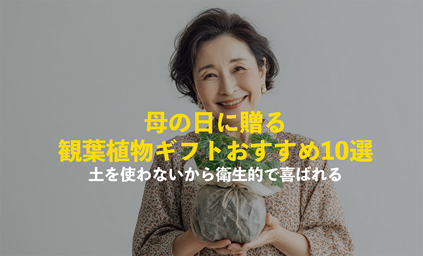 母の日に観葉植物をプレゼントしている様子