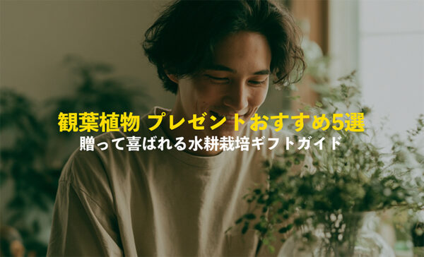 プレゼントにおすすめの観葉植物