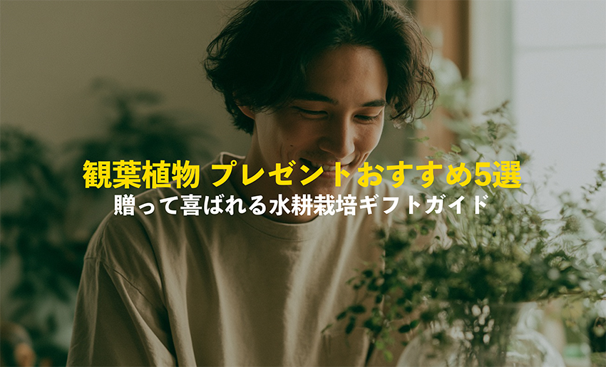 プレゼントにおすすめの観葉植物