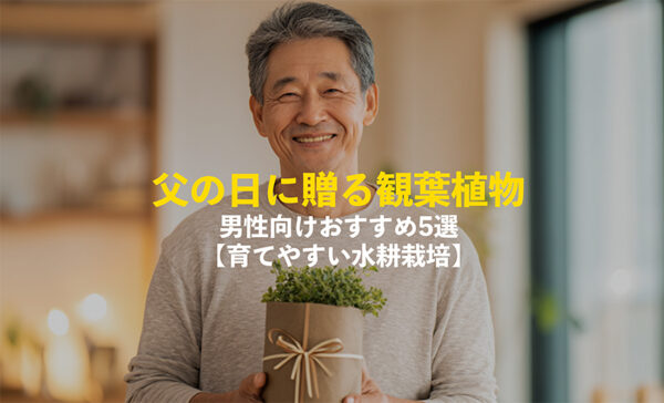 父の日におすすめの観葉植物