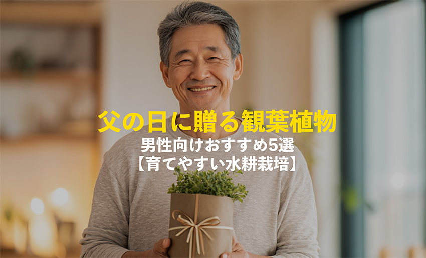 父の日におすすめの観葉植物