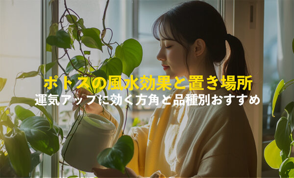 ポトスの風水