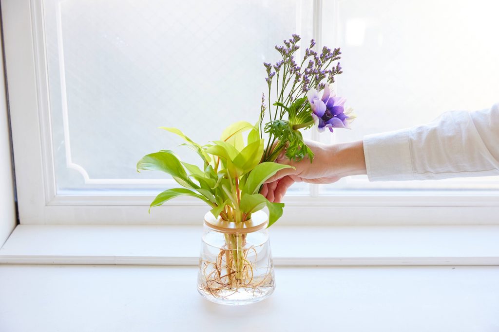 観葉植物と切り花を一緒に飾る