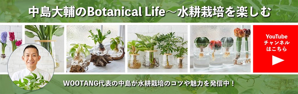 画像に alt 属性が指定されていません。ファイル名: a1bf1c6891058f47faf8a6301c191bac-1024x323.jpg