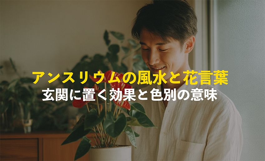アンスリウムの風水と花言葉